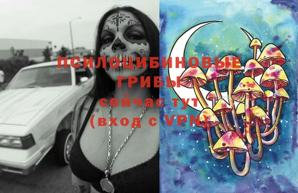 скорость Алзамай
