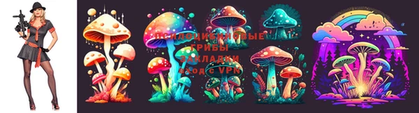 ГАЛЛЮЦИНОГЕННЫЕ ГРИБЫ Алексин