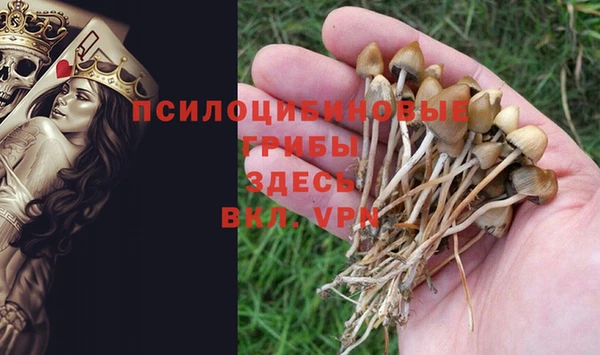 скорость Алзамай