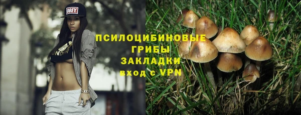 скорость Алзамай