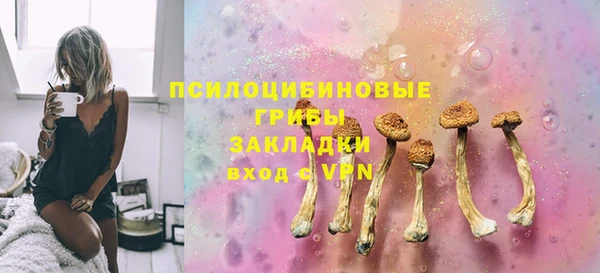 ГАЛЛЮЦИНОГЕННЫЕ ГРИБЫ Алексин
