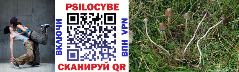 Псилоцибиновые грибы мухоморы  Протвино 